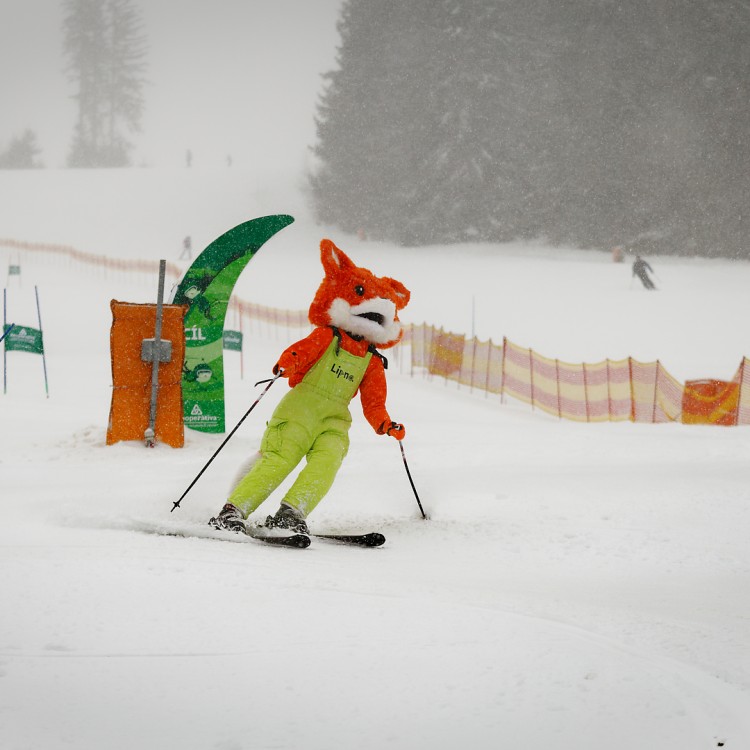 ZRUŠENO - McDonald's Winter Cup 2024