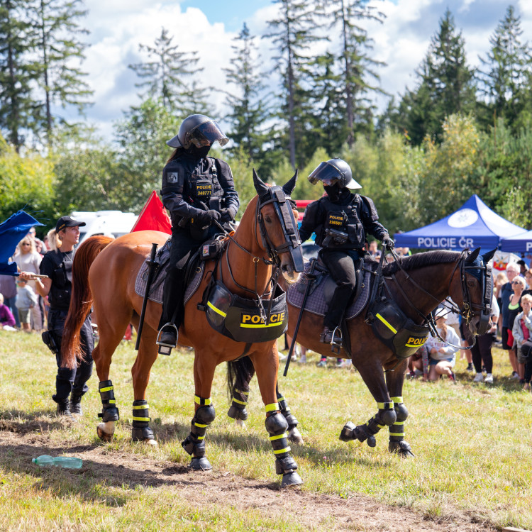 Den s integrovaným záchranným systémem