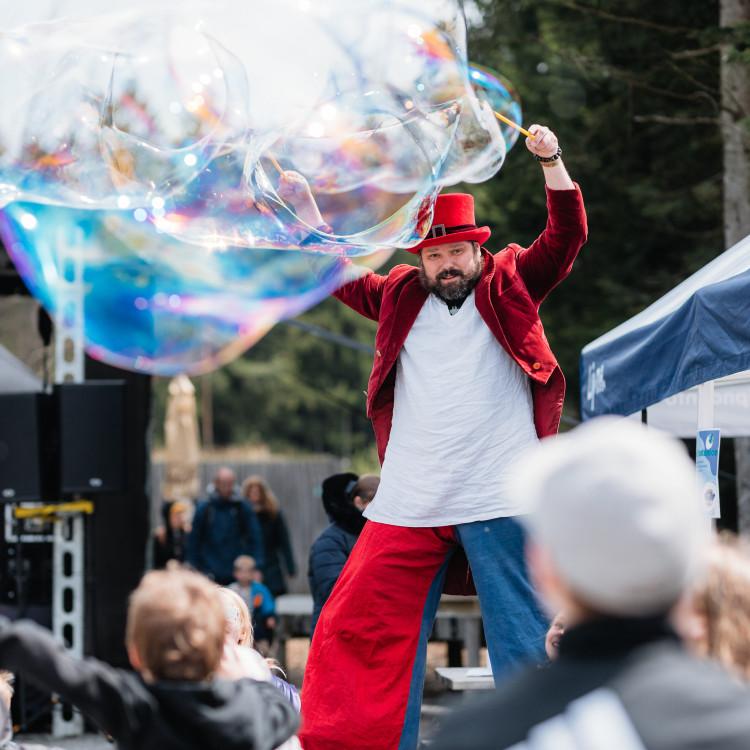 Das märchenhafte Königreich des Waldes
