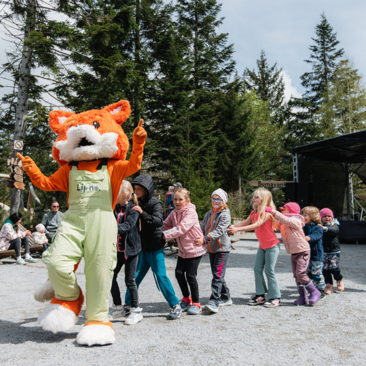 Animationsprogramm im Königreich des Waldes