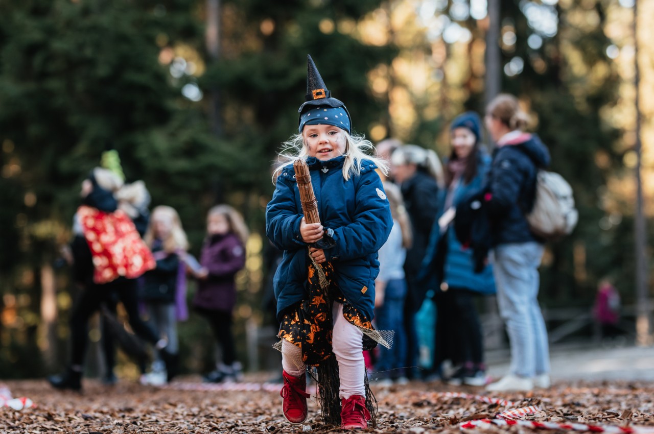 Halloween-Wochenende im Königreich des Waldes