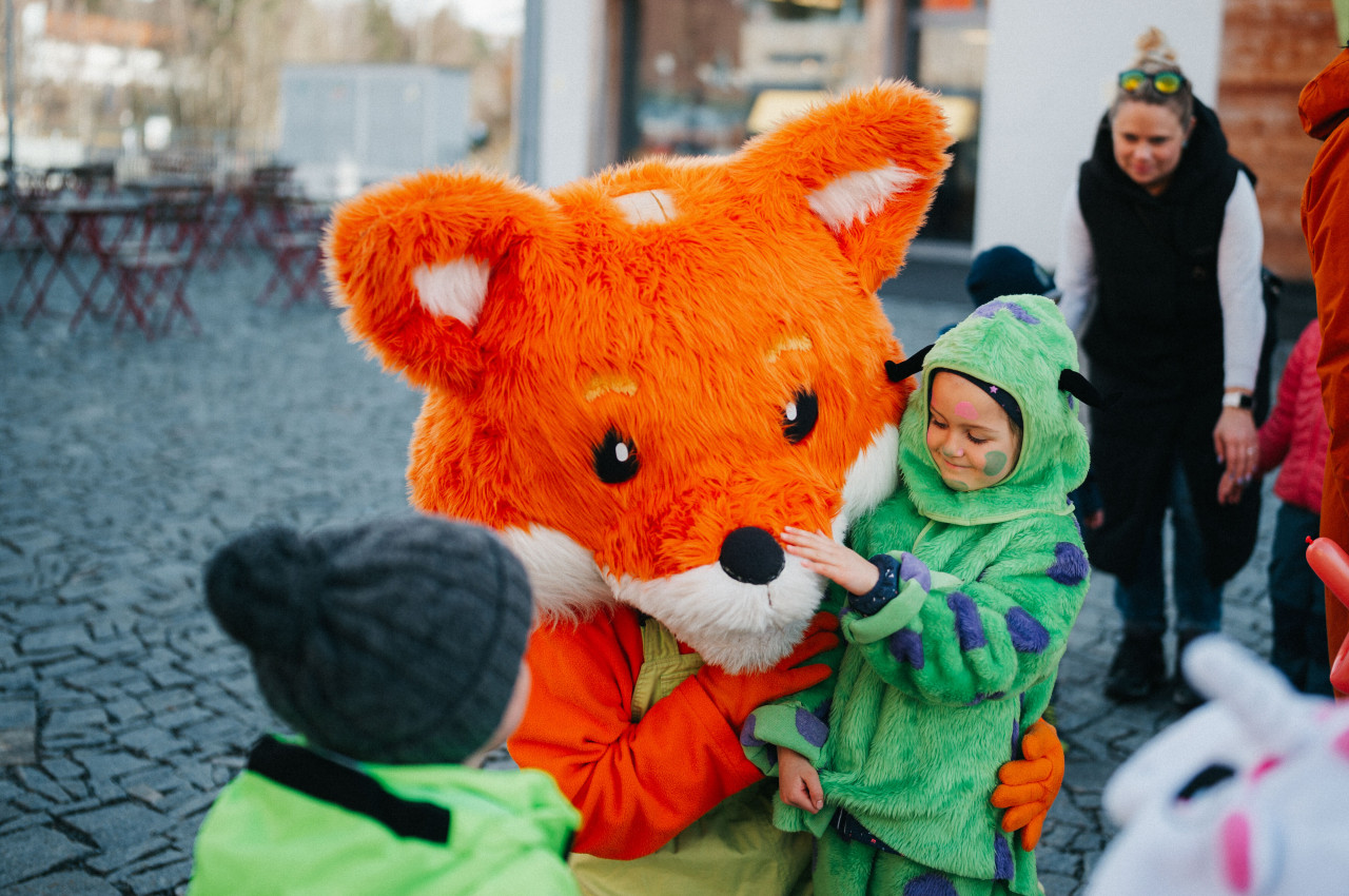 Karneval_Lipnoservis-41 (1)