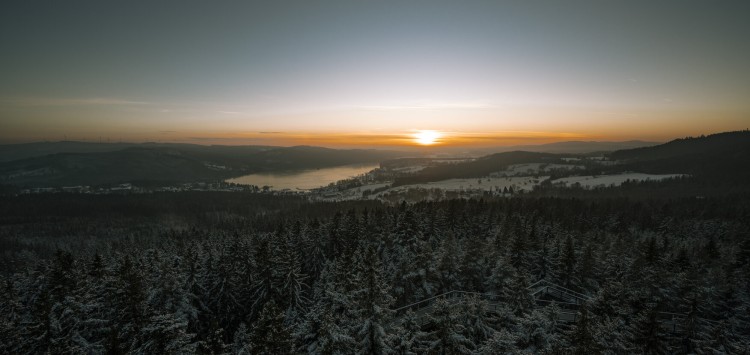 Auf zum Baumwipfelpfad!