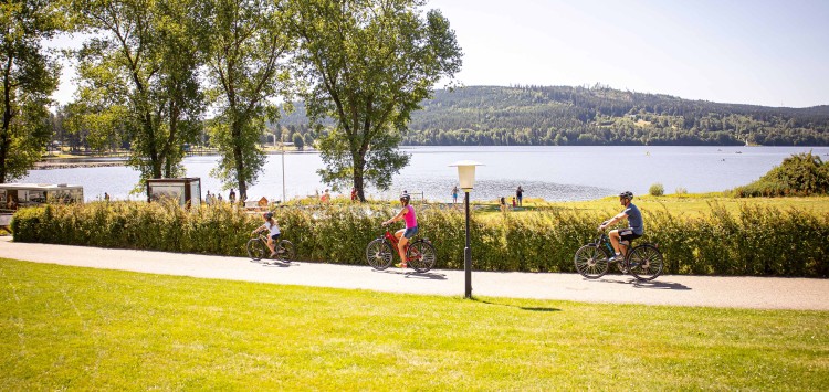 Genießen Sie Lipno vom Fahrradsattel aus!