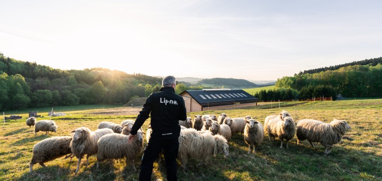 Schafschur – das traditionelle Herbstfest voller Spaß steht vor der Tür!
