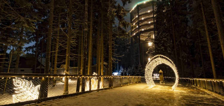 Es ist so weit! Der magische Baumwipfelpfad erstrahlt wieder!