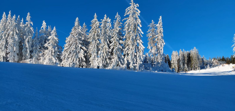 Wir geben Vollgas und eröffnen eine weitere Piste! Vyhlídka!