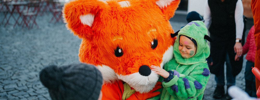 size5-17719306309438-171-narozeniny-lisaka-foxe