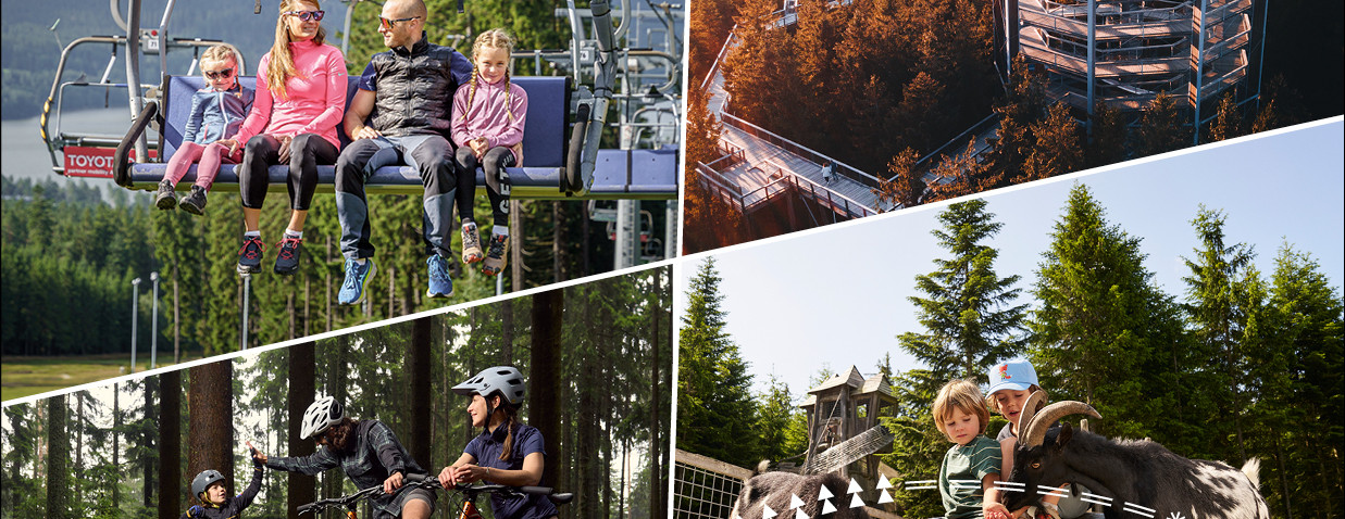 365 Lipno.pass: Lipno das ganze Jahr über mit Ihnen! Am günstigsten nur bis zum 30. April!