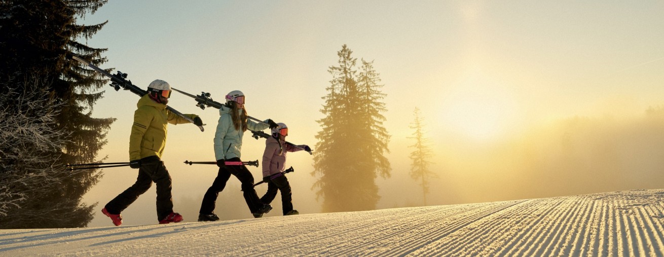 Náš dynamický cenový model