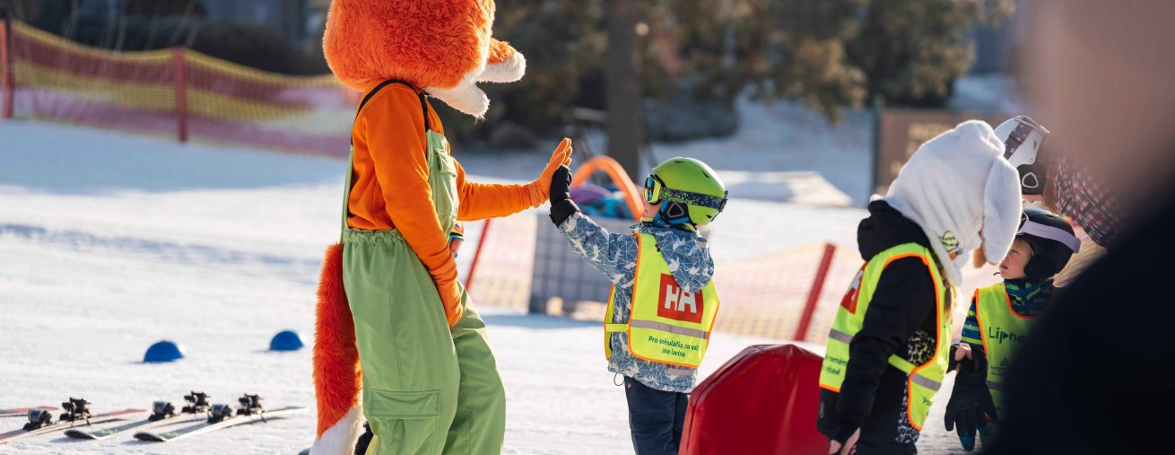 Lyžařská přípravka