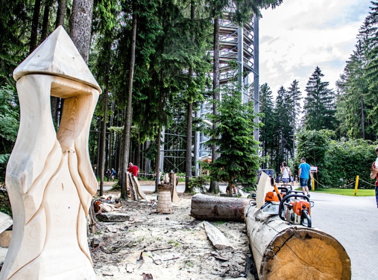 Slavnosti dřeva na Stezce korunami stromů 2019