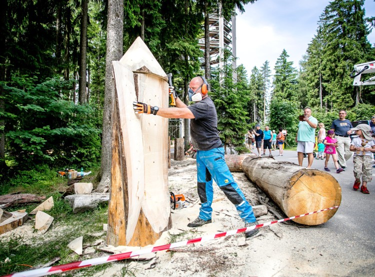 Slavnosti dřeva na Stezce korunami stromů 2019