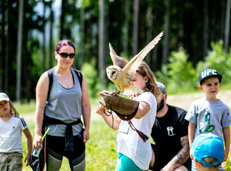 Slavnosti dřeva na Stezce korunami stromů 2019