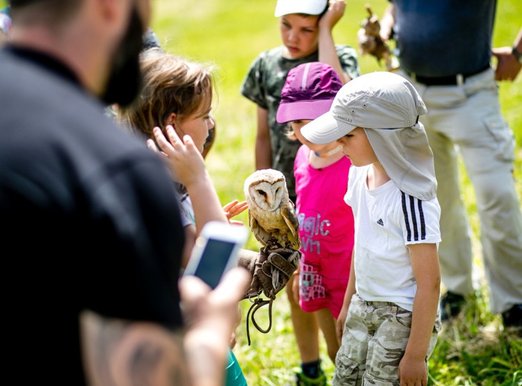 Slavnosti dřeva na Stezce korunami stromů 2019