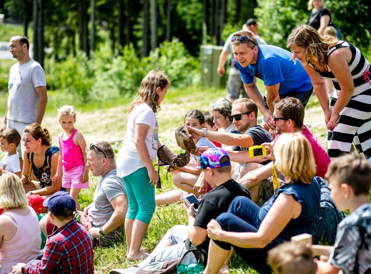 Slavnosti dřeva na Stezce korunami stromů 2019