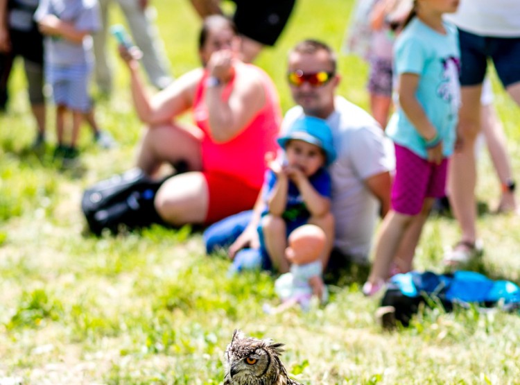 Slavnosti dřeva na Stezce korunami stromů 2019