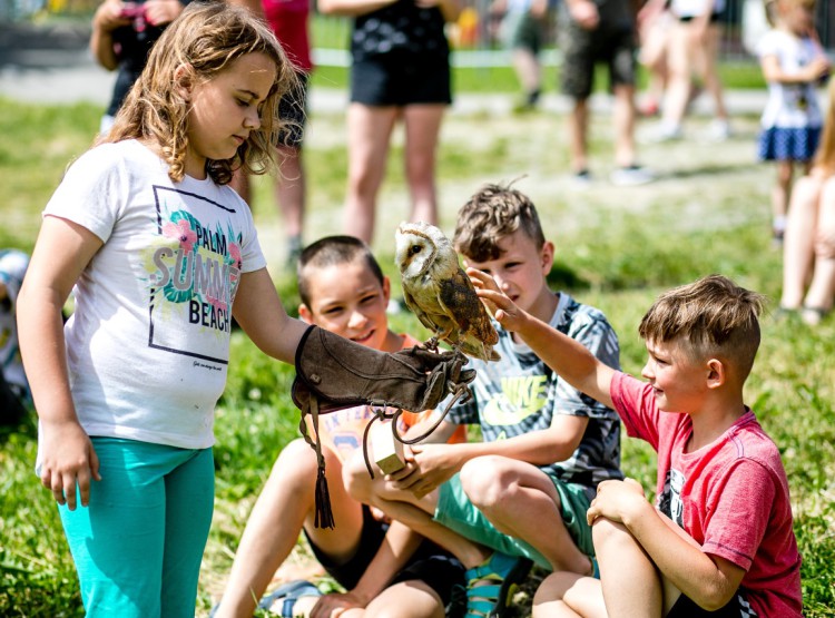 Slavnosti dřeva na Stezce korunami stromů 2019