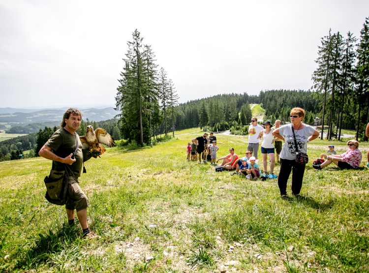 Slavnosti dřeva na Stezce korunami stromů 2019