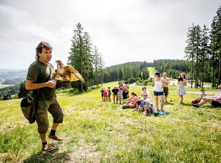 Slavnosti dřeva na Stezce korunami stromů 2019