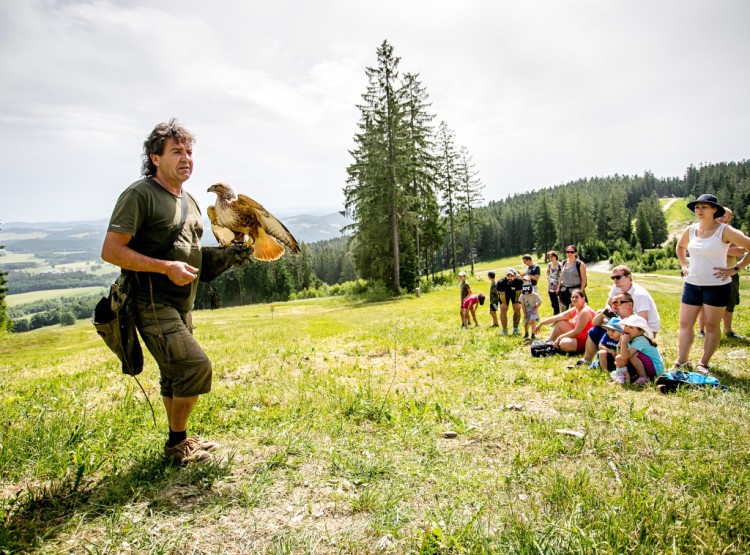 Slavnosti dřeva na Stezce korunami stromů 2019