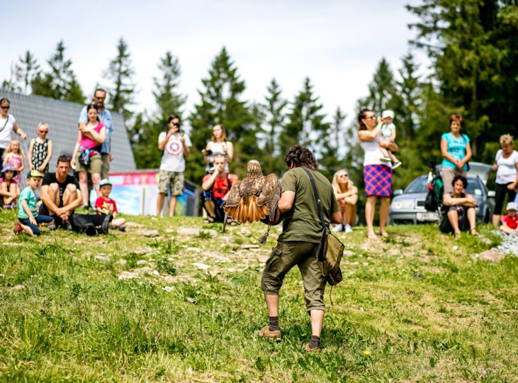 Slavnosti dřeva na Stezce korunami stromů 2019