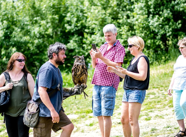 Slavnosti dřeva na Stezce korunami stromů 2019