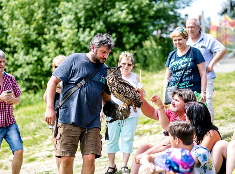 Slavnosti dřeva na Stezce korunami stromů 2019