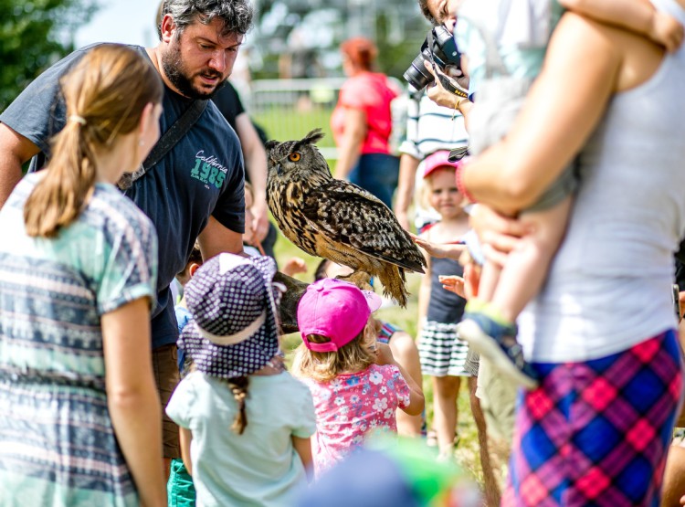 Slavnosti dřeva na Stezce korunami stromů 2019