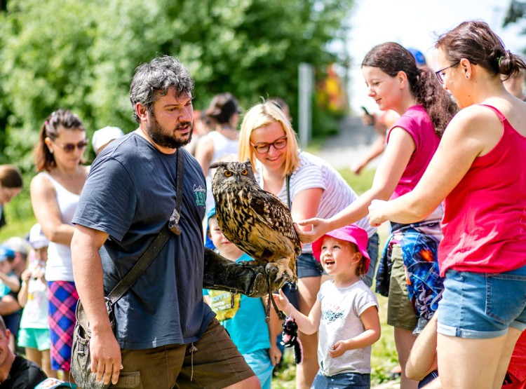 Slavnosti dřeva na Stezce korunami stromů 2019