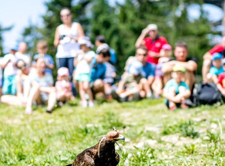 Slavnosti dřeva na Stezce korunami stromů 2019