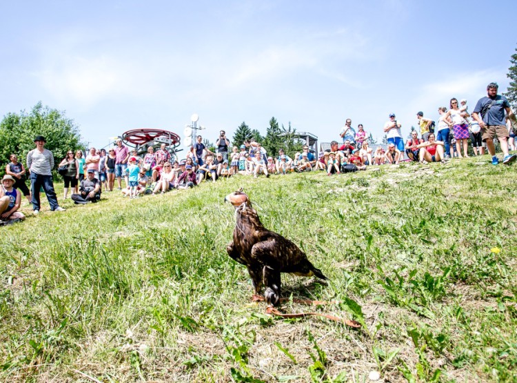 Slavnosti dřeva na Stezce korunami stromů 2019