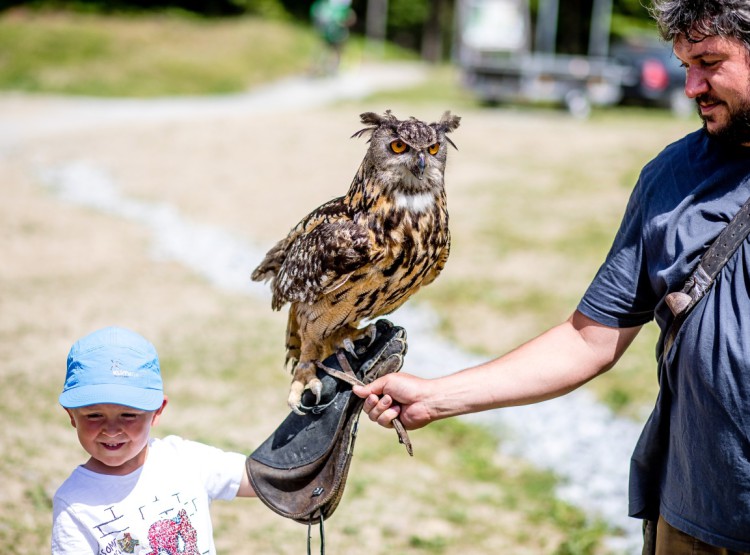 Slavnosti dřeva na Stezce korunami stromů 2019