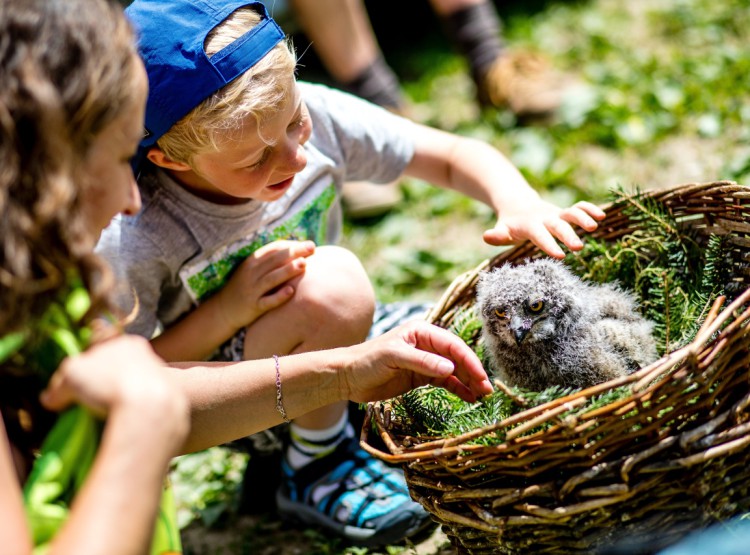 Slavnosti dřeva na Stezce korunami stromů 2019