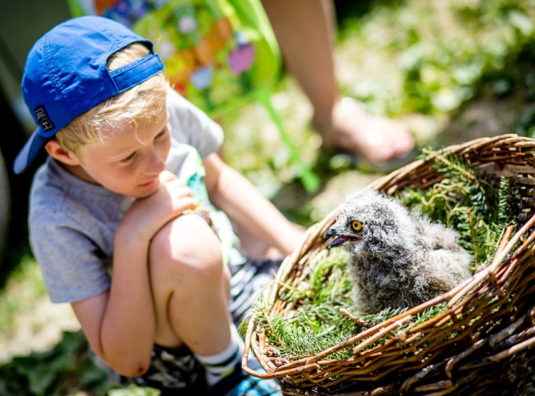 Slavnosti dřeva na Stezce korunami stromů 2019