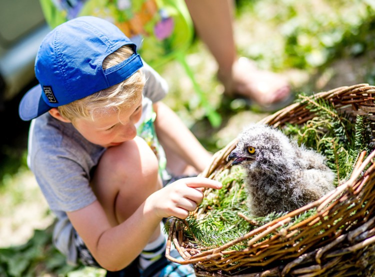 Slavnosti dřeva na Stezce korunami stromů 2019