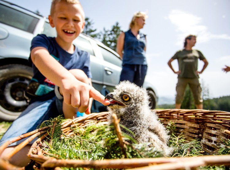 Slavnosti dřeva na Stezce korunami stromů 2019