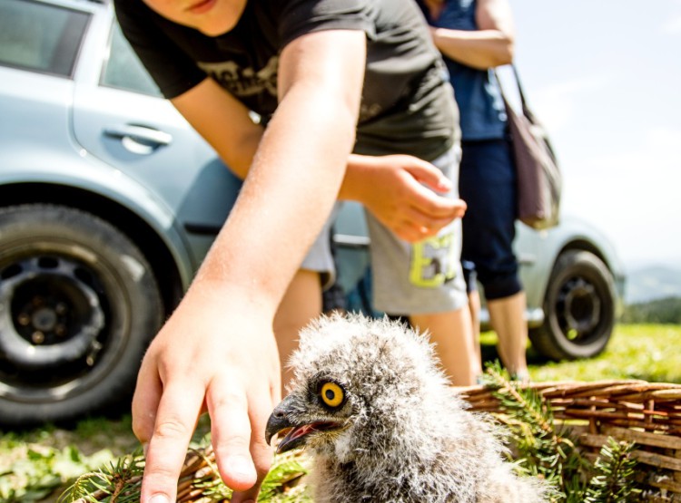 Slavnosti dřeva na Stezce korunami stromů 2019