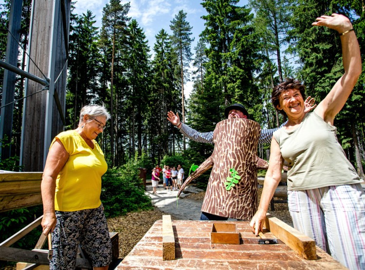 Slavnosti dřeva na Stezce korunami stromů 2019