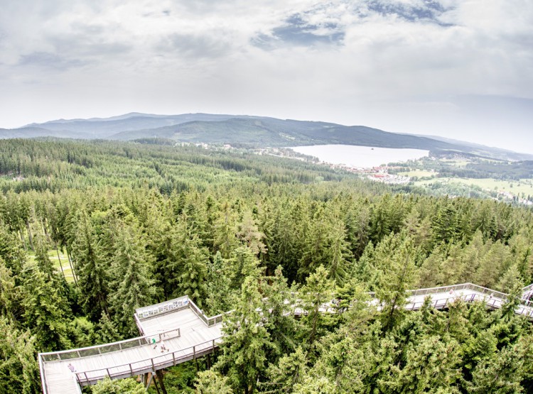 Slavnosti dřeva na Stezce korunami stromů 2019