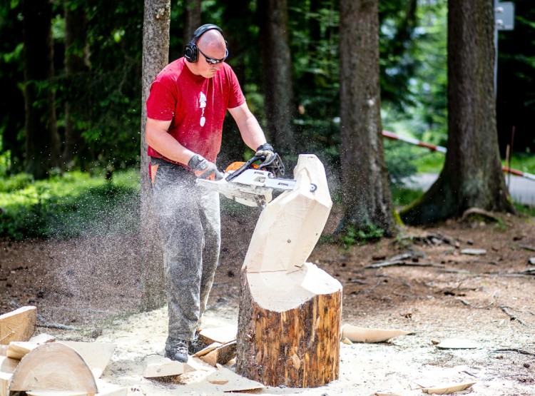 Slavnosti dřeva na Stezce korunami stromů 2019