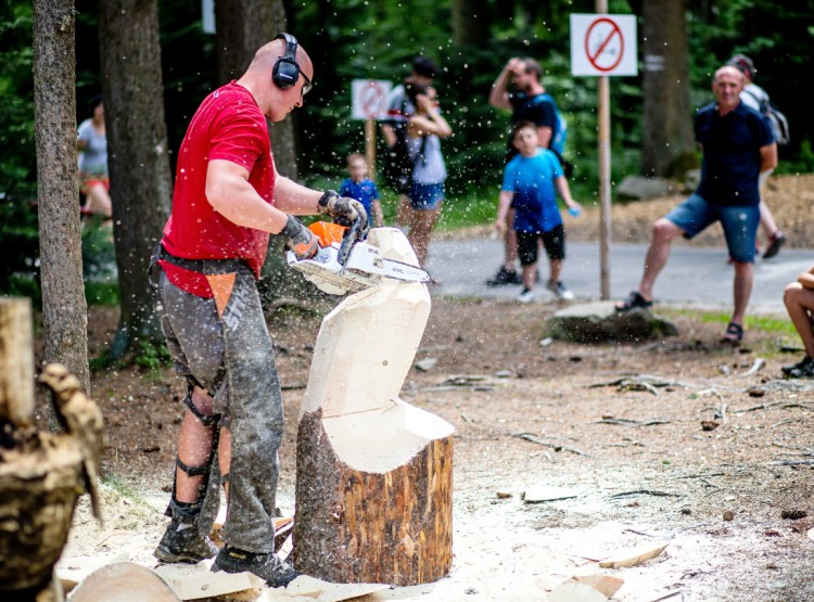 Slavnosti dřeva na Stezce korunami stromů 2019