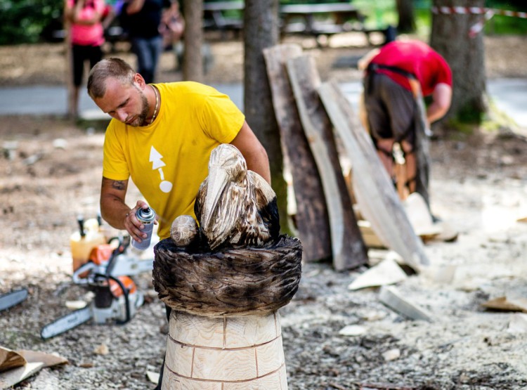 Slavnosti dřeva na Stezce korunami stromů 2019