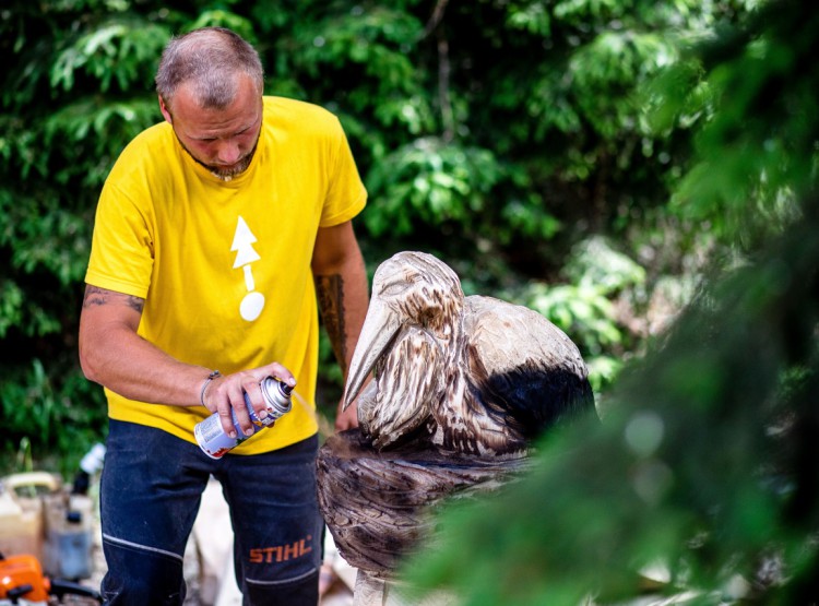 Slavnosti dřeva na Stezce korunami stromů 2019