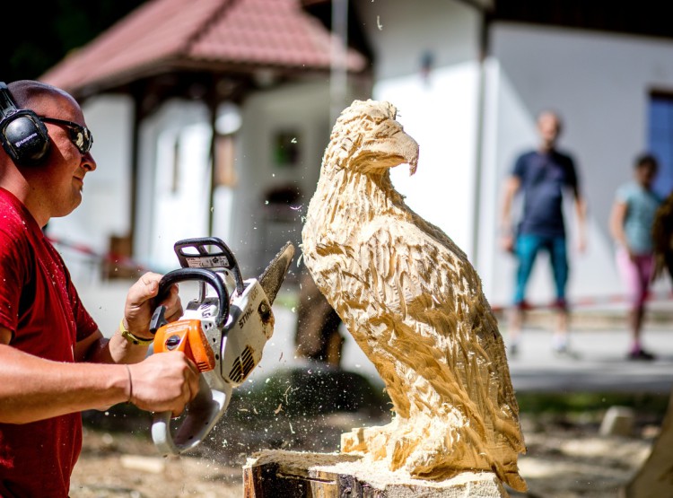 Slavnosti dřeva na Stezce korunami stromů 2019