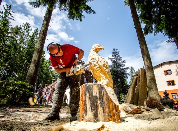 Slavnosti dřeva na Stezce korunami stromů 2019