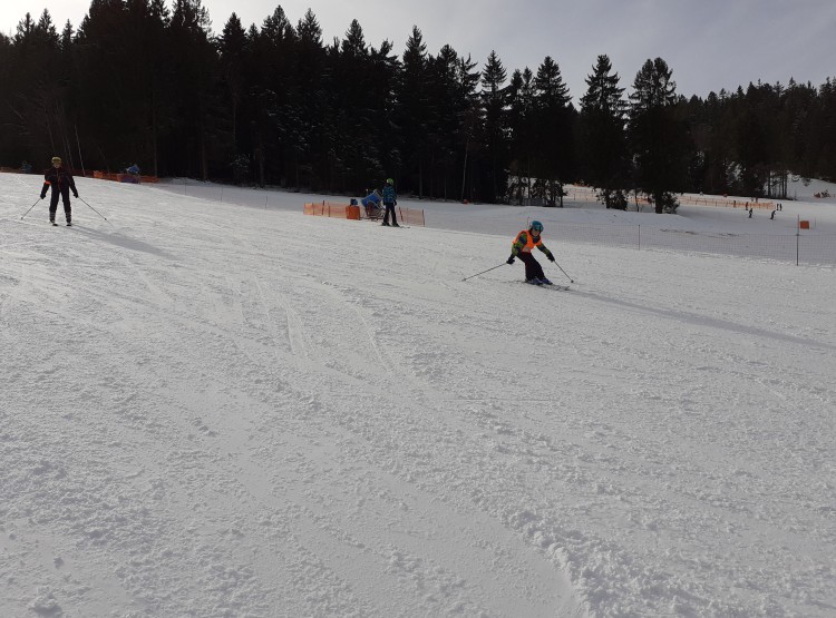 Prázdninový příměstský tábor 2020