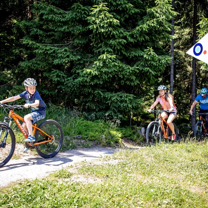 Singletrack půjčovna 