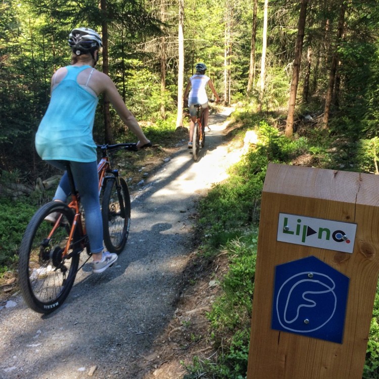 Floutrejl - rodinná terénní cyklotrasa