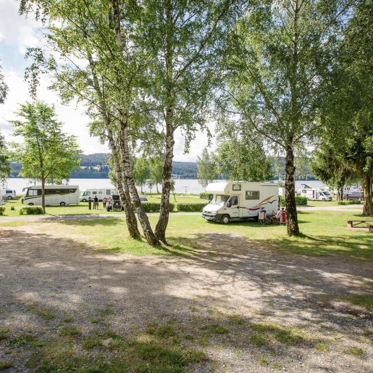 Camping Lipno Modřín